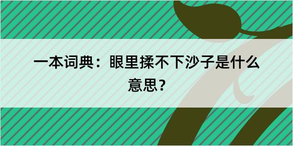 一本词典：眼里揉不下沙子是什么意思？