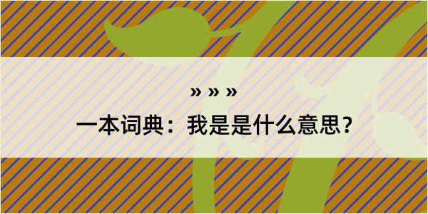 一本词典：我是是什么意思？