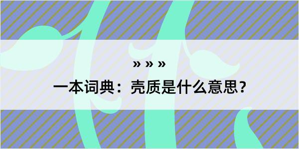 一本词典：壳质是什么意思？