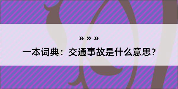 一本词典：交通事故是什么意思？