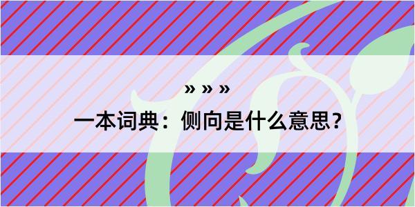 一本词典：侧向是什么意思？