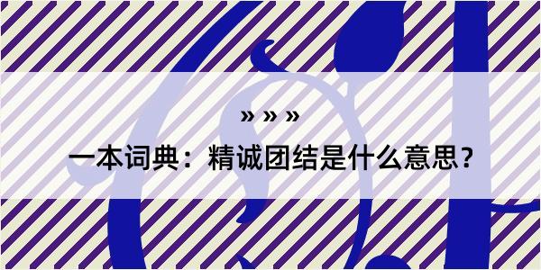 一本词典：精诚团结是什么意思？