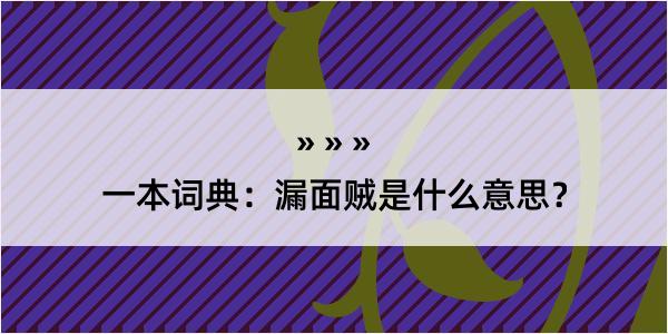 一本词典：漏面贼是什么意思？