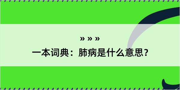 一本词典：肺病是什么意思？