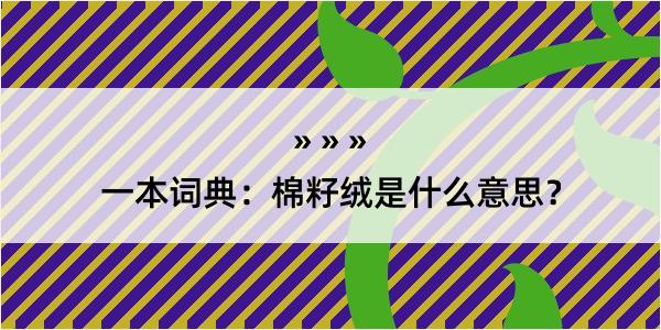 一本词典：棉籽绒是什么意思？