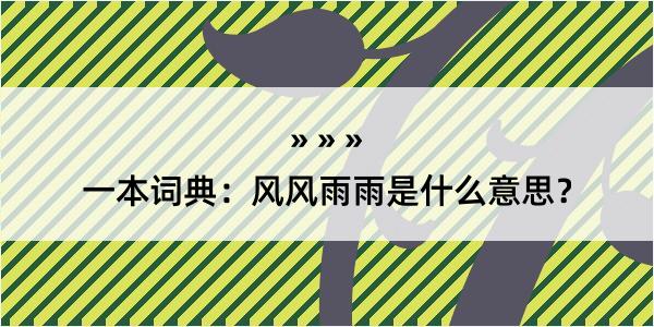 一本词典：风风雨雨是什么意思？