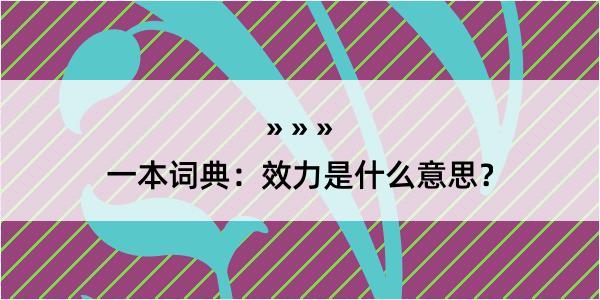 一本词典：效力是什么意思？