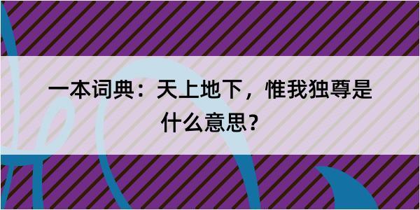 一本词典：天上地下，惟我独尊是什么意思？