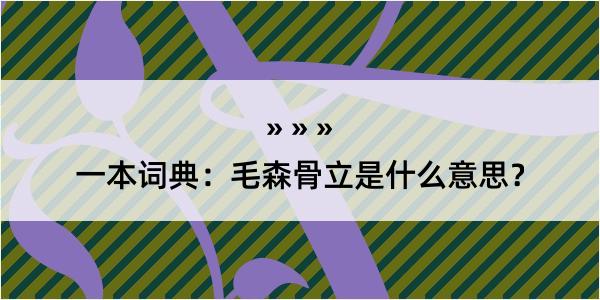 一本词典：毛森骨立是什么意思？