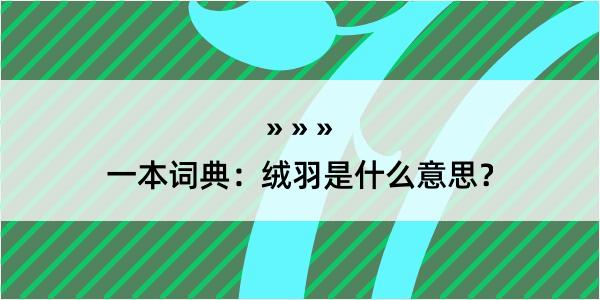 一本词典：绒羽是什么意思？