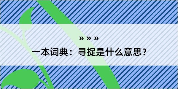 一本词典：寻捉是什么意思？