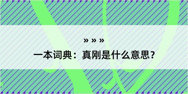 一本词典：真刚是什么意思？