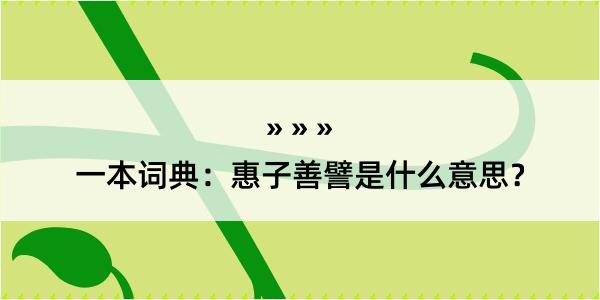 一本词典：惠子善譬是什么意思？