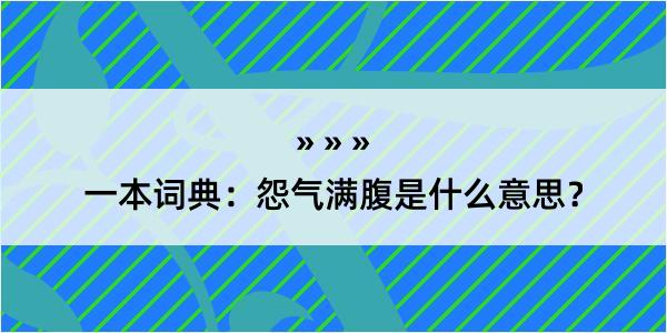 一本词典：怨气满腹是什么意思？