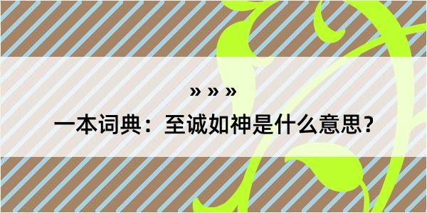 一本词典：至诚如神是什么意思？