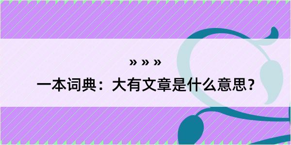 一本词典：大有文章是什么意思？