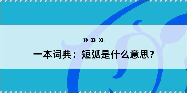 一本词典：短弧是什么意思？