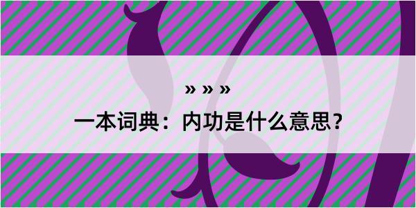 一本词典：内功是什么意思？