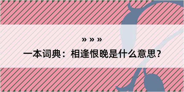 一本词典：相逢恨晚是什么意思？