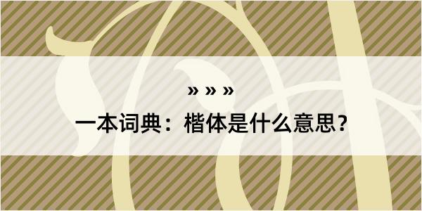 一本词典：楷体是什么意思？