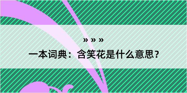 一本词典：含笑花是什么意思？