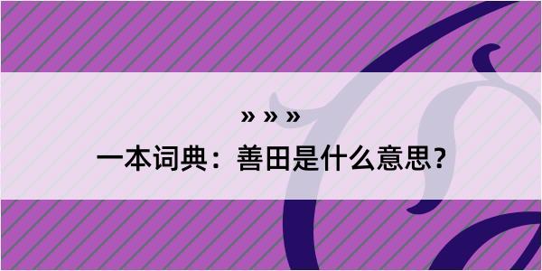 一本词典：善田是什么意思？