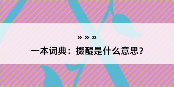 一本词典：掇醍是什么意思？