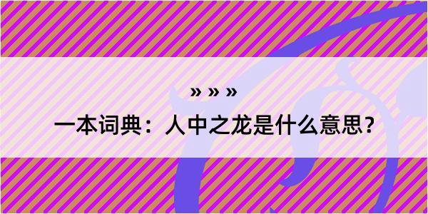 一本词典：人中之龙是什么意思？