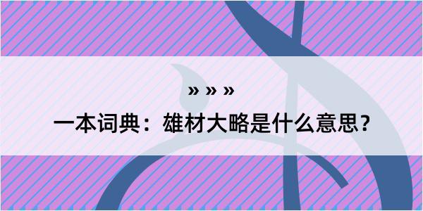 一本词典：雄材大略是什么意思？