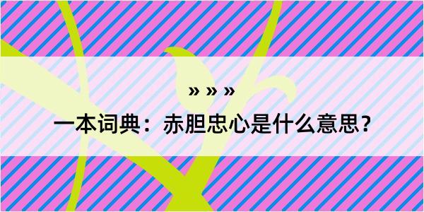 一本词典：赤胆忠心是什么意思？