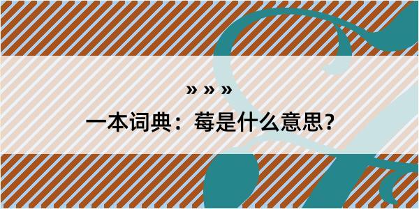 一本词典：莓是什么意思？