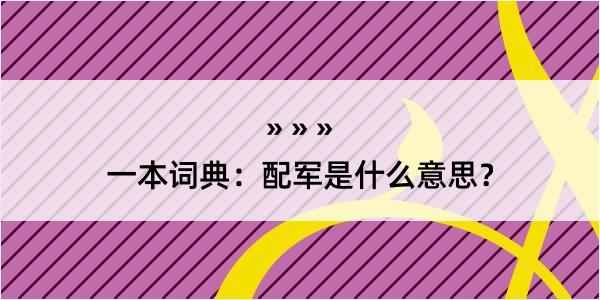 一本词典：配军是什么意思？