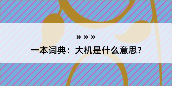 一本词典：大机是什么意思？