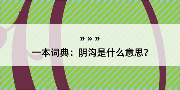 一本词典：阴沟是什么意思？