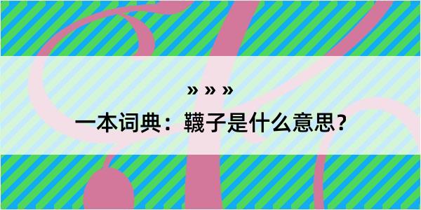 一本词典：韈子是什么意思？