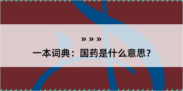 一本词典：国药是什么意思？