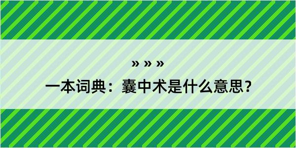 一本词典：囊中术是什么意思？