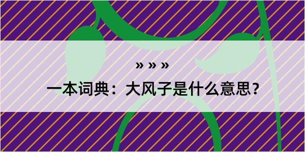 一本词典：大风子是什么意思？