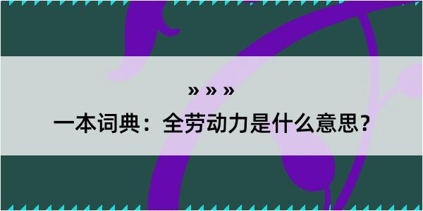 一本词典：全劳动力是什么意思？