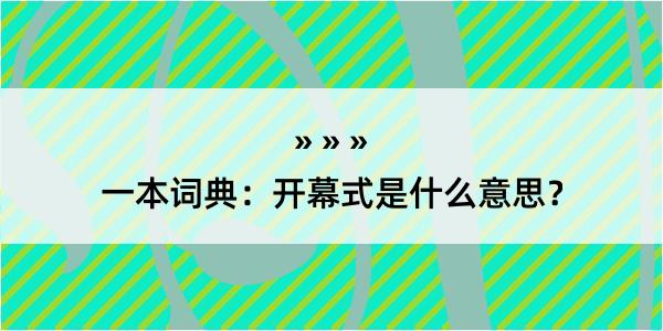 一本词典：开幕式是什么意思？