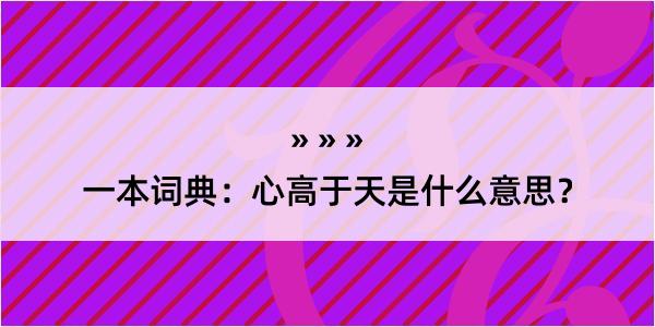 一本词典：心高于天是什么意思？