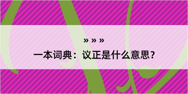 一本词典：议正是什么意思？