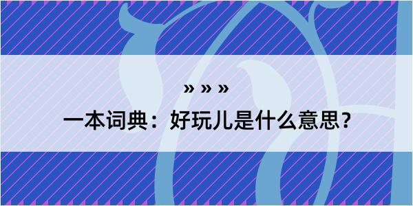 一本词典：好玩儿是什么意思？