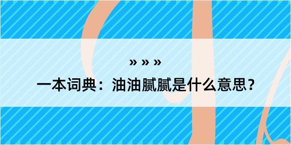 一本词典：油油腻腻是什么意思？