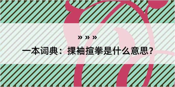 一本词典：捰袖揎拳是什么意思？