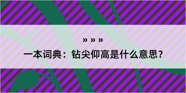 一本词典：钻尖仰高是什么意思？