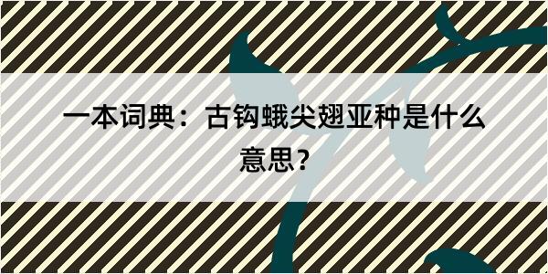 一本词典：古钩蛾尖翅亚种是什么意思？