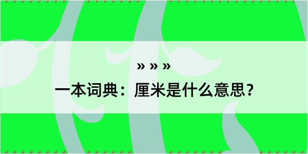 一本词典：厘米是什么意思？