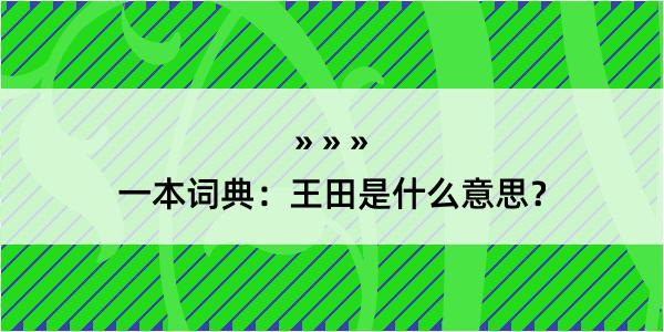 一本词典：王田是什么意思？