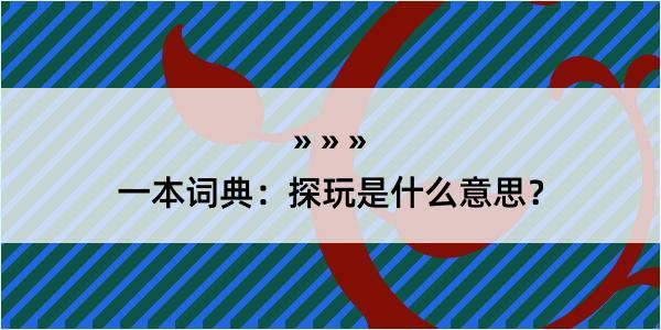 一本词典：探玩是什么意思？